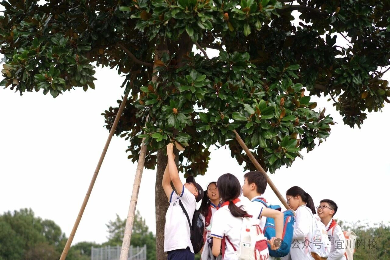 探秘自然，乐享金秋  ——2026年上海市宜川中学附属学校秋季社会实践活动