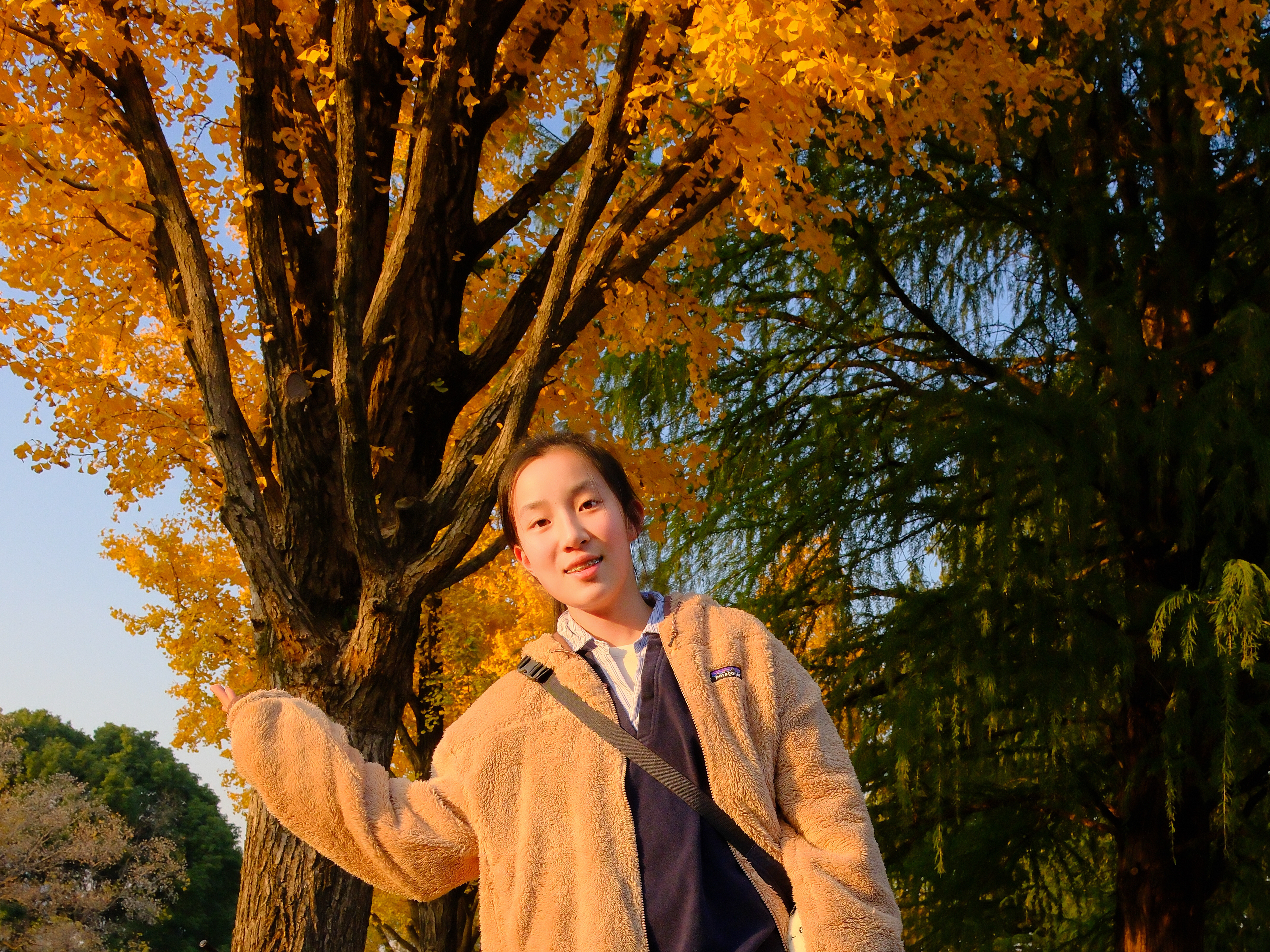 汪依依同学荣获第17届上海模型节-太阳能动力车模型直线竞速赛 中学组 一等奖