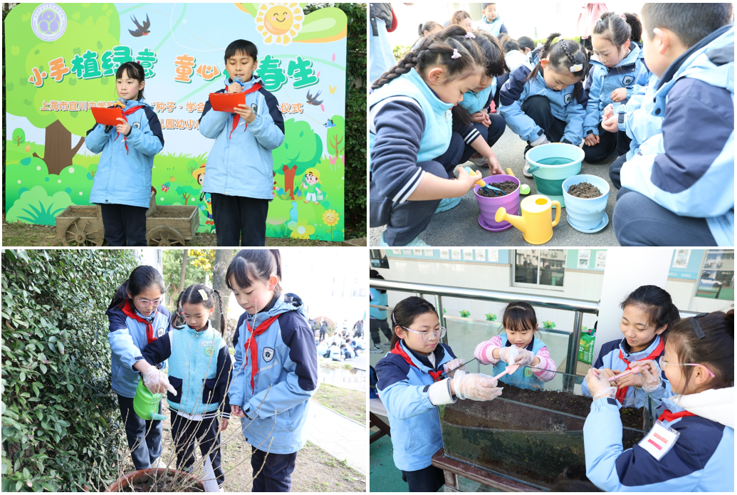 小手植绿意，童心伴春生 ——上海市宜川中学附属学校举办“种子·学会观察”课程启动仪式暨幼小衔接活动